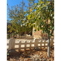 فروش باغ ویلا